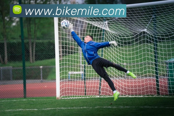 米乐m6全站App 米乐m6全站App